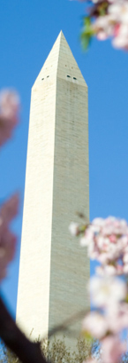 Washington Monument